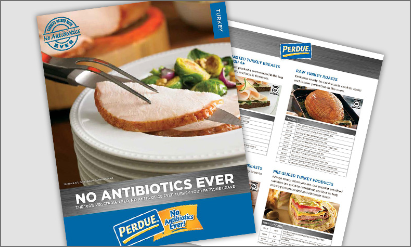 Perdue Turkey FullLine Brochure